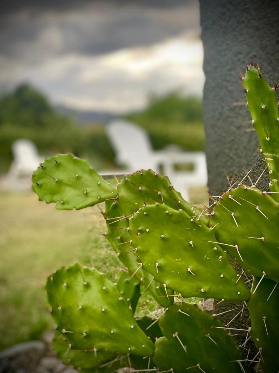 Tierra De Zorros Villa Cortaderas Eksteriør billede